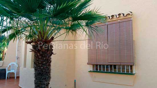 Dos alicantinas de plástico marrón claro cubren una misma ventana junto a una palmera