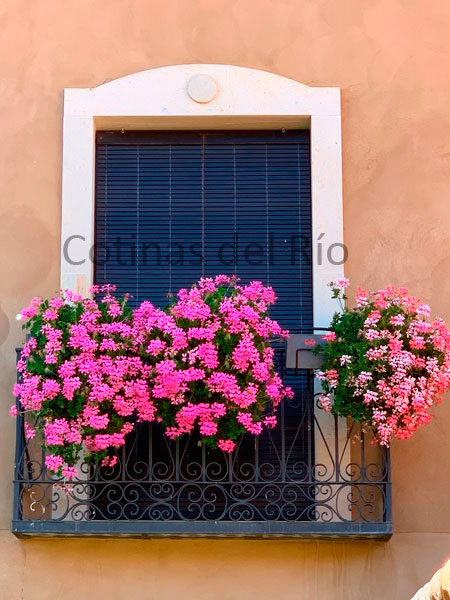 Alicantina de madera marrón oscuro tras un balcón con flores